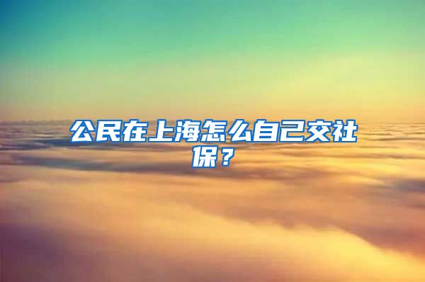 公民在上海怎么自己交社保？