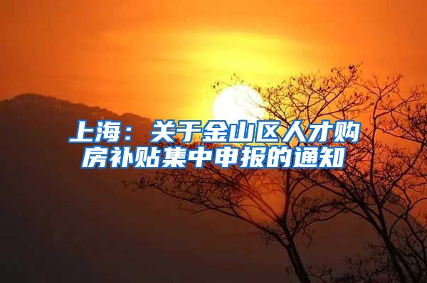 上海：关于金山区人才购房补贴集中申报的通知