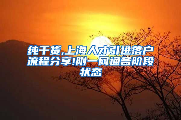 纯干货,上海人才引进落户流程分享!附一网通各阶段状态