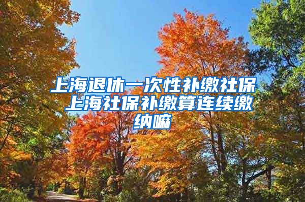 上海退休一次性补缴社保 上海社保补缴算连续缴纳嘛
