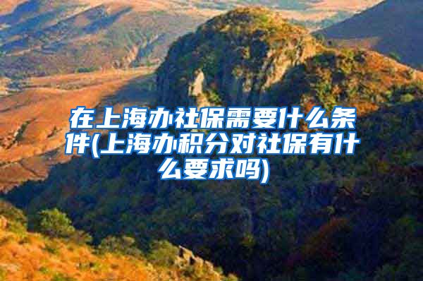 在上海办社保需要什么条件(上海办积分对社保有什么要求吗)