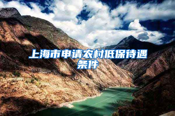 上海市申请农村低保待遇条件