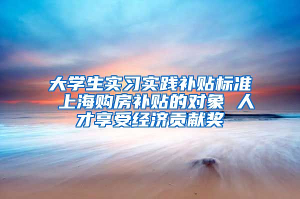 大学生实习实践补贴标准 上海购房补贴的对象 人才享受经济贡献奖