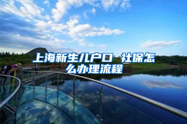 上海新生儿户口 社保怎么办理流程