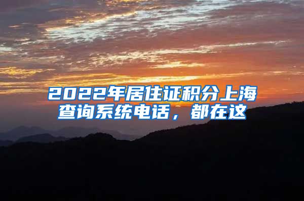 2022年居住证积分上海查询系统电话，都在这