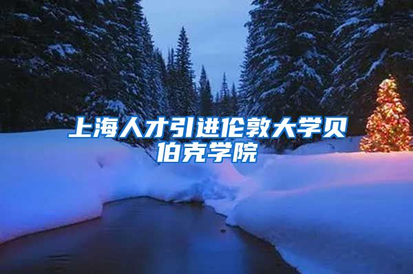 上海人才引进伦敦大学贝伯克学院