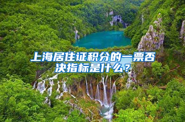 上海居住证积分的一票否决指标是什么？
