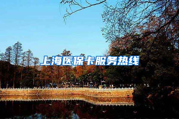 上海医保卡服务热线