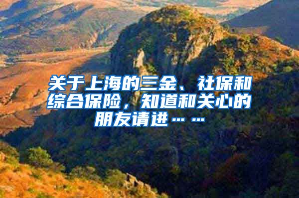 关于上海的三金、社保和综合保险，知道和关心的朋友请进……