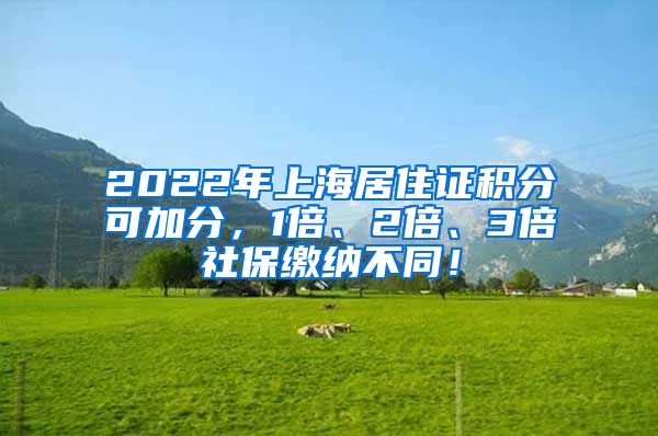 2022年上海居住证积分可加分，1倍、2倍、3倍社保缴纳不同！