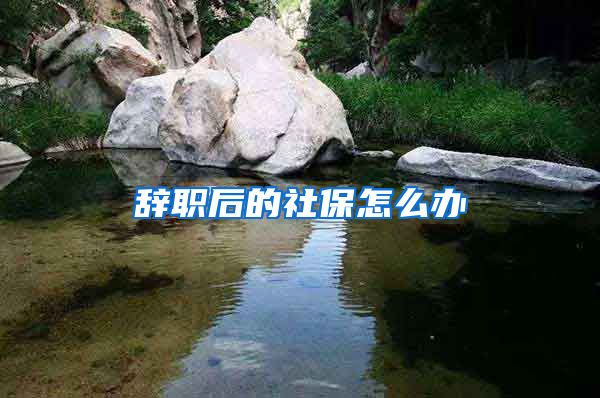 辞职后的社保怎么办