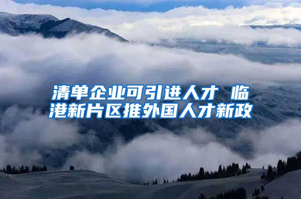 清单企业可引进人才 临港新片区推外国人才新政