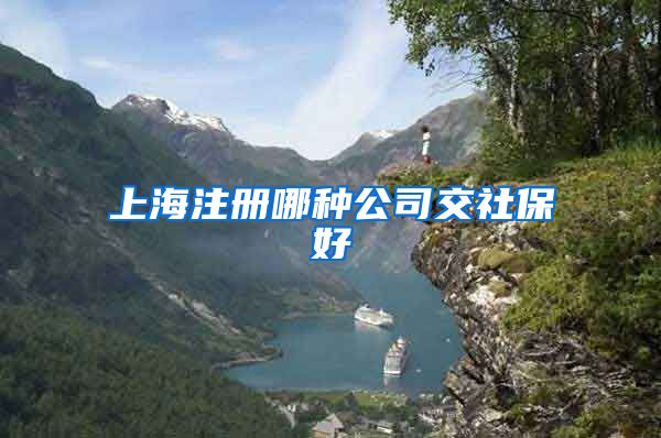 上海注册哪种公司交社保好