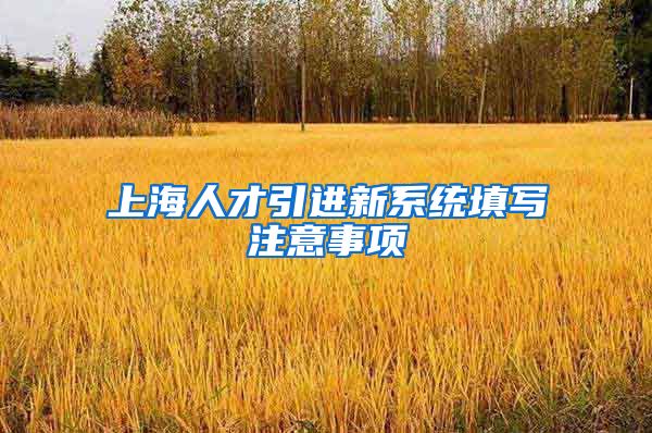 上海人才引进新系统填写注意事项