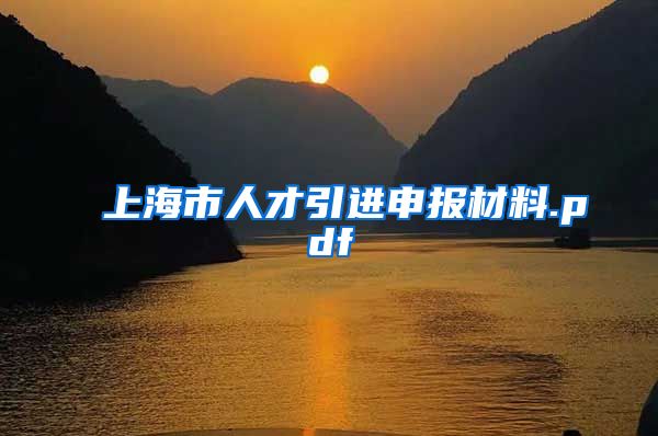 上海市人才引进申报材料.pdf