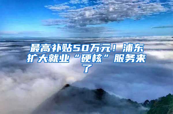 最高补贴50万元！浦东扩大就业“硬核”服务来了