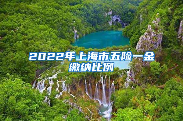 2022年上海市五险一金缴纳比例