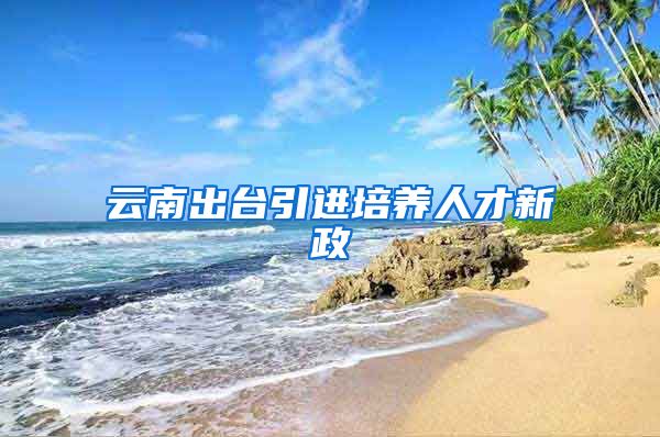 云南出台引进培养人才新政