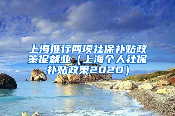 上海推行两项社保补贴政策促就业（上海个人社保补贴政策2020）