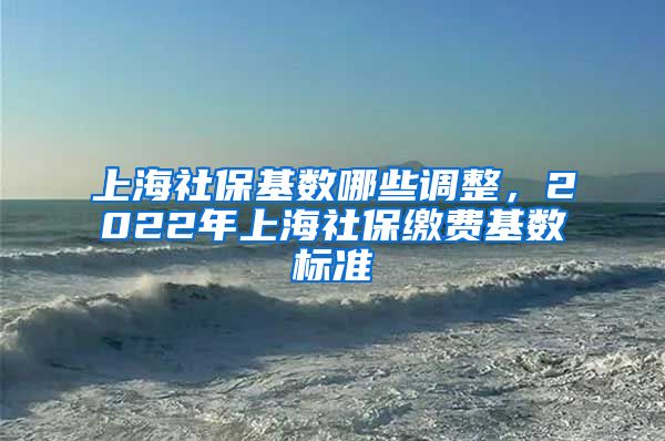 上海社保基数哪些调整，2022年上海社保缴费基数标准