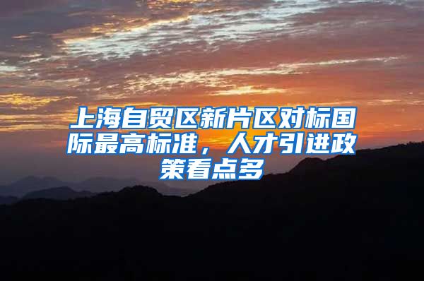上海自贸区新片区对标国际最高标准，人才引进政策看点多