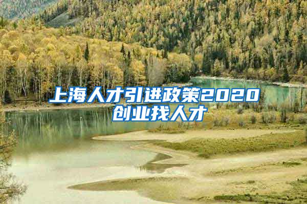 上海人才引进政策2020 创业找人才