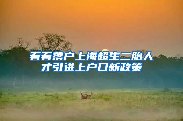 看看落户上海超生二胎人才引进上户口新政策