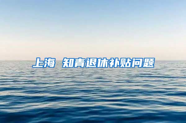 上海 知青退休补贴问题