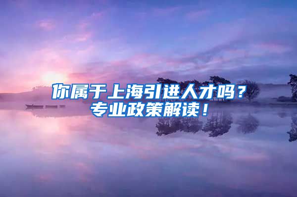 你属于上海引进人才吗？专业政策解读！