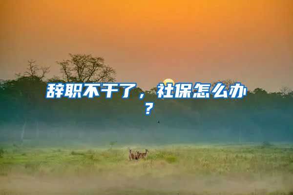 辞职不干了，社保怎么办？