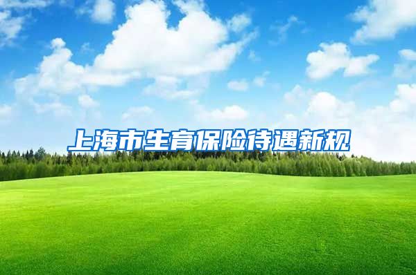 上海市生育保险待遇新规