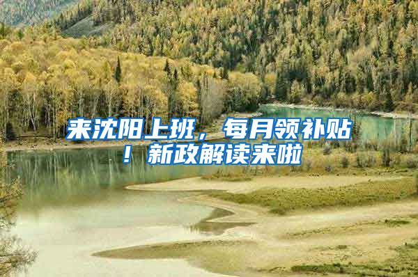 来沈阳上班，每月领补贴！新政解读来啦