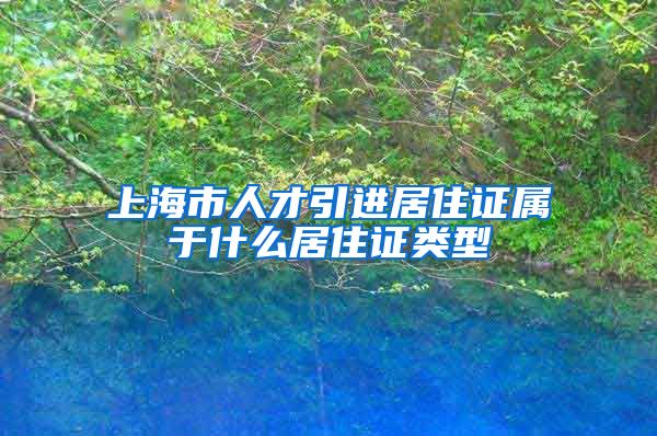 上海市人才引进居住证属于什么居住证类型