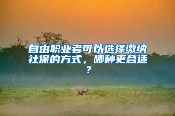 自由职业者可以选择缴纳社保的方式，哪种更合适？