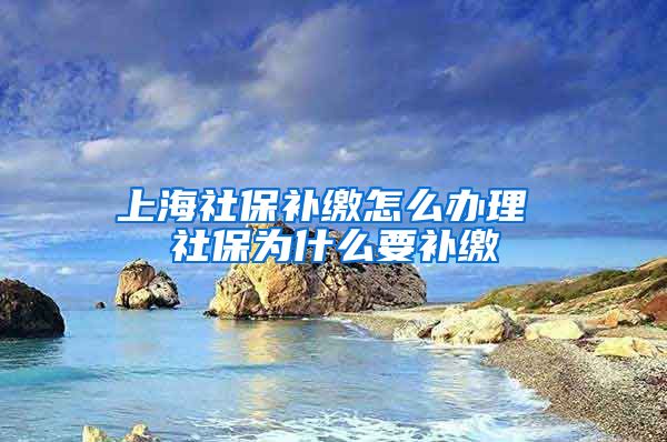 上海社保补缴怎么办理 社保为什么要补缴