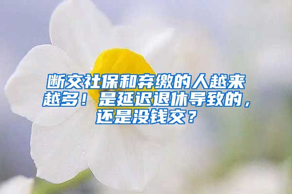 断交社保和弃缴的人越来越多！是延迟退休导致的，还是没钱交？