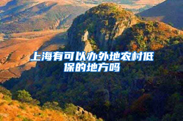 上海有可以办外地农村低保的地方吗