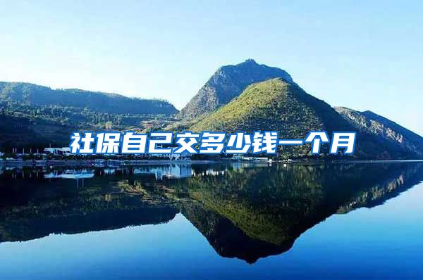 社保自己交多少钱一个月