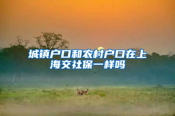 城镇户口和农村户口在上海交社保一样吗