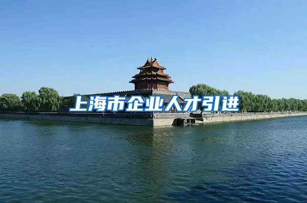 上海市企业人才引进