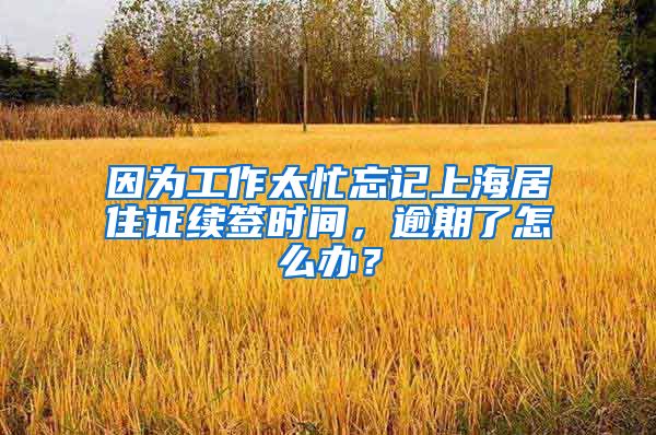 因为工作太忙忘记上海居住证续签时间，逾期了怎么办？