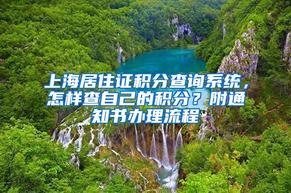 上海居住证积分查询系统，怎样查自己的积分？附通知书办理流程