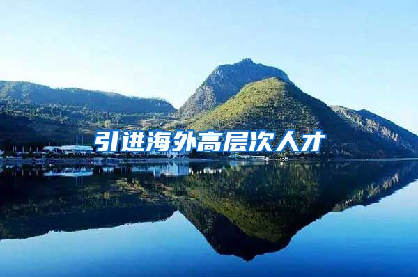 引进海外高层次人才