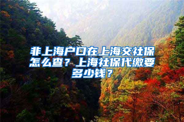 非上海户口在上海交社保怎么查？上海社保代缴要多少钱？