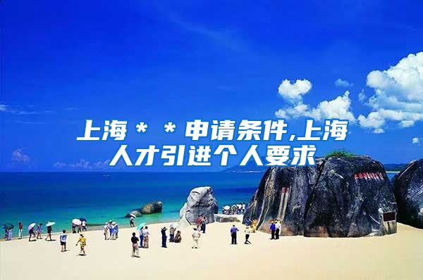上海＊＊申请条件,上海人才引进个人要求