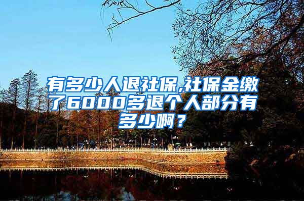 有多少人退社保,社保金缴了6000多退个人部分有多少啊？