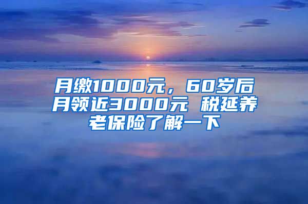 月缴1000元，60岁后月领近3000元 税延养老保险了解一下