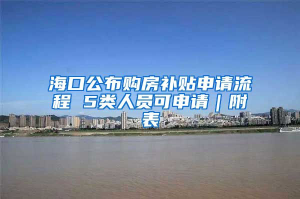 海口公布购房补贴申请流程 5类人员可申请｜附表