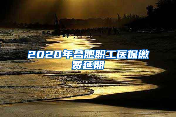 2020年合肥职工医保缴费延期