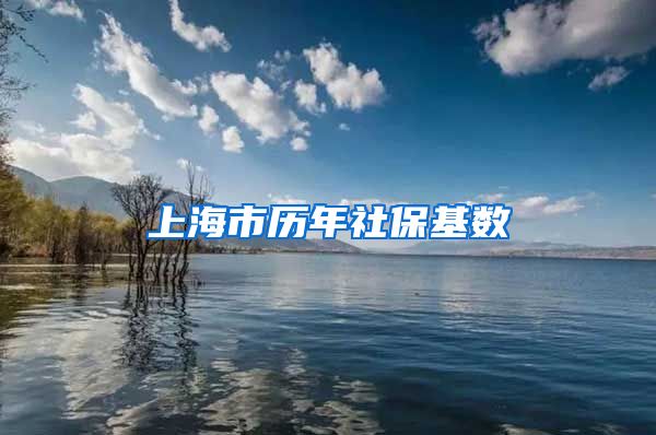 上海市历年社保基数
